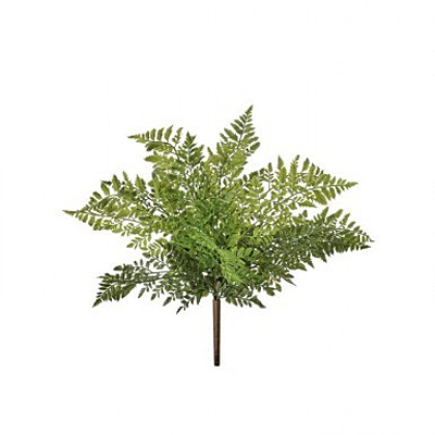 Fern - Nat Touch Lady Bush