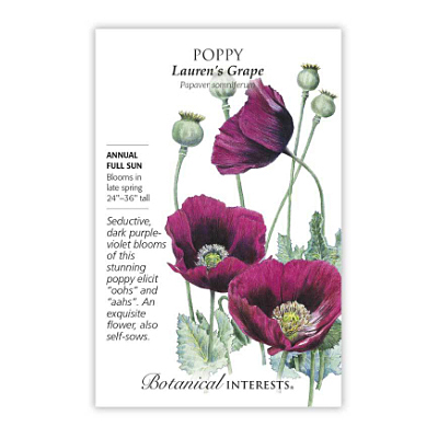 Seeds - BI Poppy Lauren's Grape