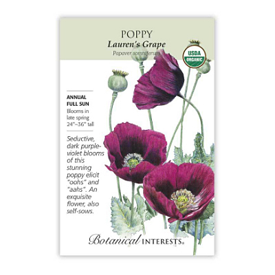Seeds - BI Poppy Lauren's Grape Org