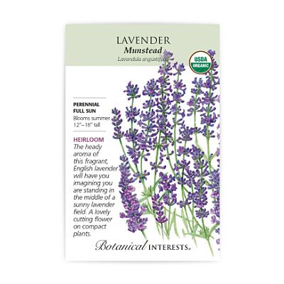 Seeds - BI Lavender Dwarf Munstead Org