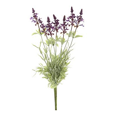 Lavender Spray - Purple