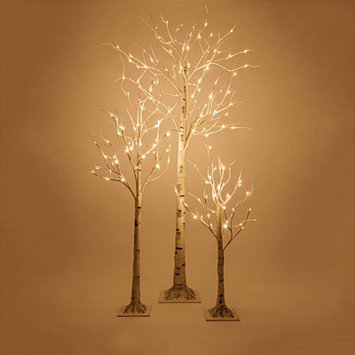 Birch Tree - LED WW