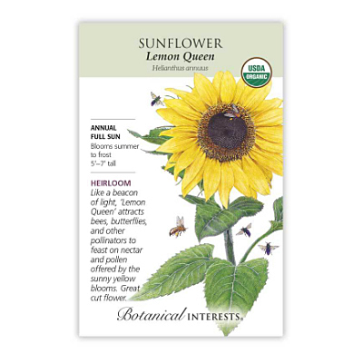 Seeds - BI Sunflower Lemon Queen Org