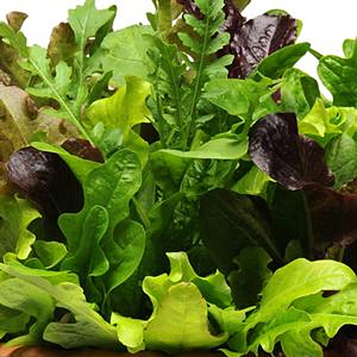 Lettuce
