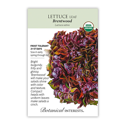 Seeds - BI Lettuce Eazyleaf Brentwood Org