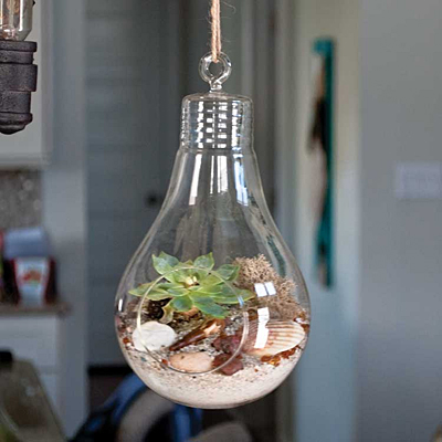 Mika Glass Lightbulb Shaped Terrarium