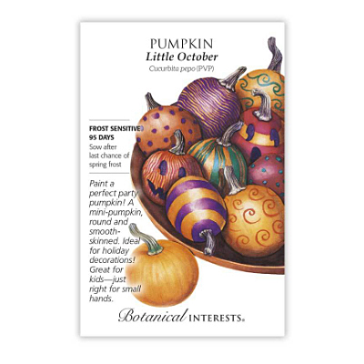 Seeds - BI Pumpkin Little October