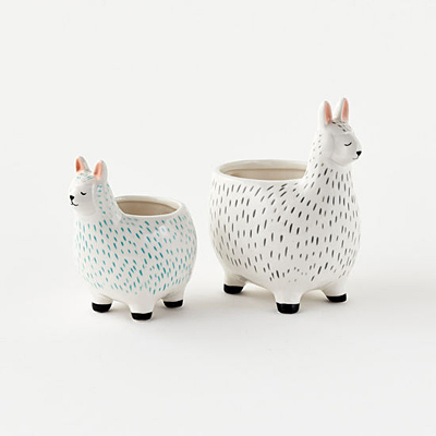 Llama Pot