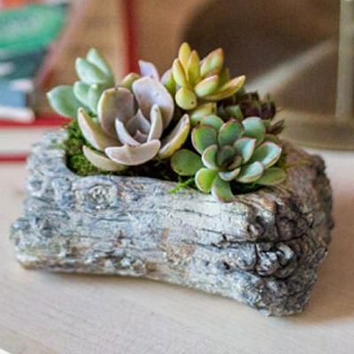 Concrete Log Succulent Garden