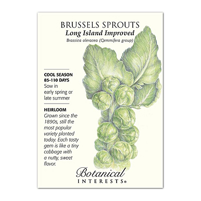 Seeds - BI Brussels Sprouts Long Island Imp