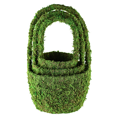 Basket - Moss Louisa