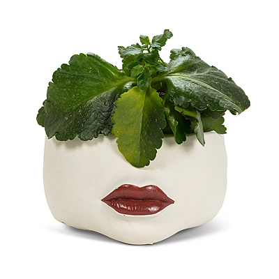 Planter - Low Red Lip, Cement
