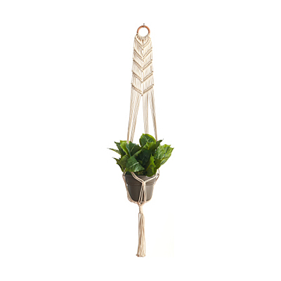 Macrame Plant Hammock