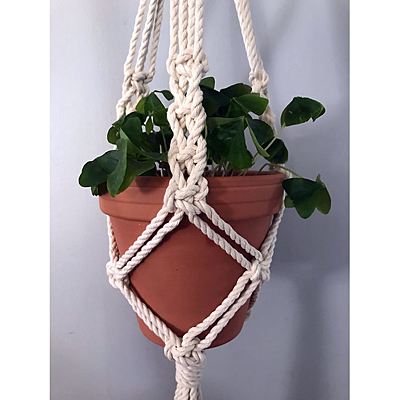 Macrame Plant Hanger