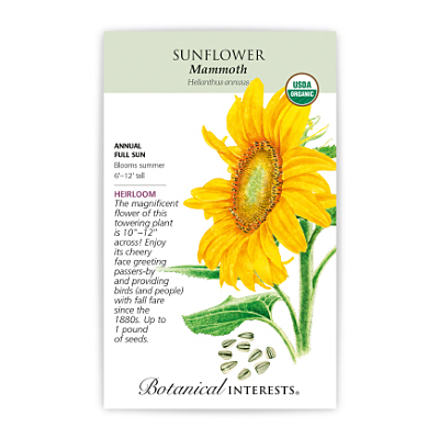 Seeds - BI Sunflower Mammoth Russian Org