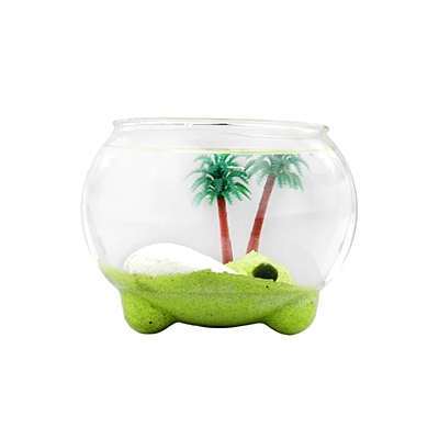 Marimo Terrarium - Oasis with Palm Tree