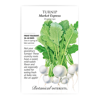 Seeds - BI Turnip Market Express