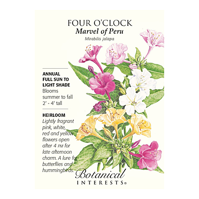 Seeds - BI Four O'Clock Marvel Of Peru