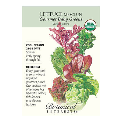 Seeds - BI Lettuce Mesclun Gourmet Baby Org