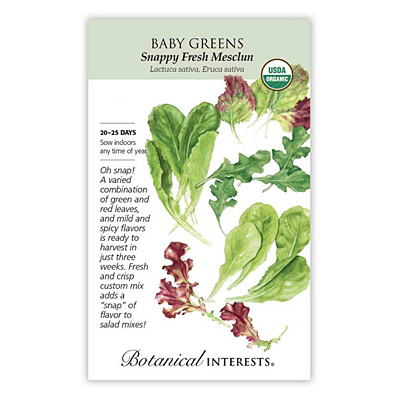 Seeds - BI Baby Greens Mesclun Snappy Org