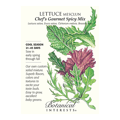 Seeds - BI Lettuce Mesclun Chef's Spicy