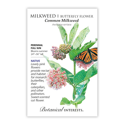 Seeds - BI Milkweed Common Org