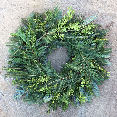 Wreath - Mixed Fraser/Leyland/Boxwood (Orange & White)