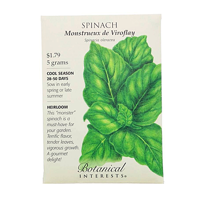 Seeds - BI Spinach Monstrueux de Viroflay
