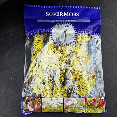Moss - Lichen Wolfe Branch SuperMoss