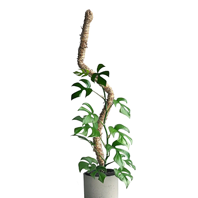 Bendable Moss Pole