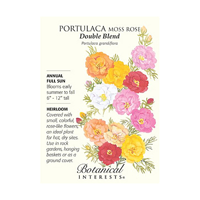 Seeds - BI Portulaca Moss Rose Double Blend