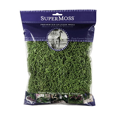 Moss - Spanish Green