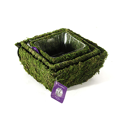Basket - Moss Square