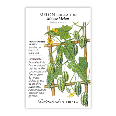 Seeds - BI Melon Cucamelon 'Mouse Melon'