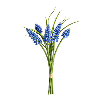 Muscari Bundle x5 - Blue