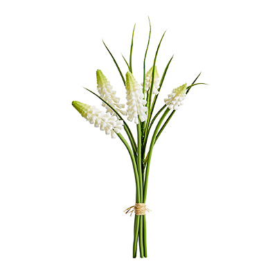 Muscari Bundle x6 - White