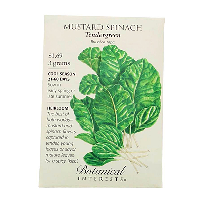 Seeds - BI Mustard Tendergreen