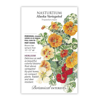 Seeds - BI Nasturtium Alaska Variegated