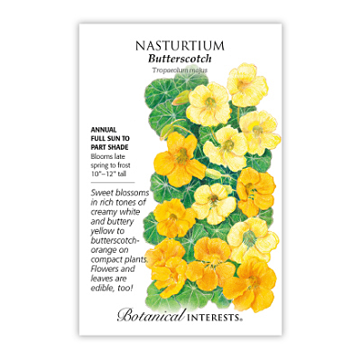 Seeds - BI Nasturtium Butterscotch