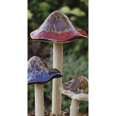 Natural Mushroom