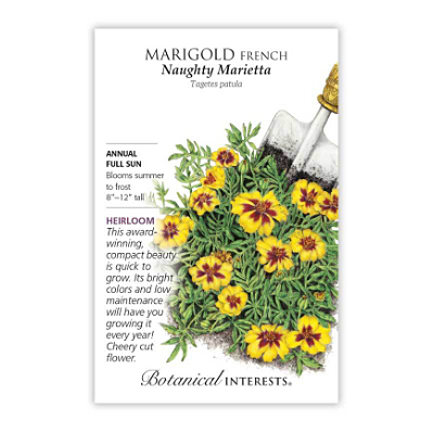 Seeds - BI Marigold Naughty Marietta