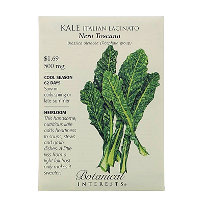 Seeds - BI Kale Italian Nero Toscana Org