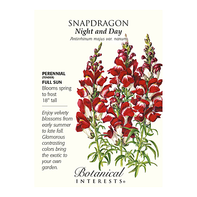 Seeds - BI Snapdragon Night and Day