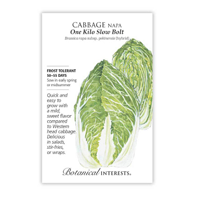 Seeds - BI Cabbage Chinese One Kilo Hydrid