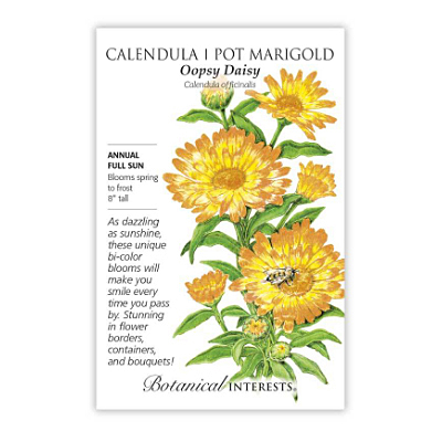 Seeds - BI Calendula 'Oopsy Daisy'