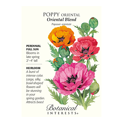 Seeds - BI Poppy Oriental Blend