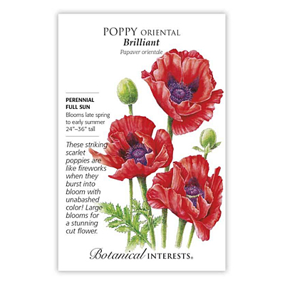 Seeds - BI Poppy Oriental Brilliant