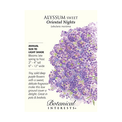 Seeds - BI Alyssum Sweet Oriental Nights