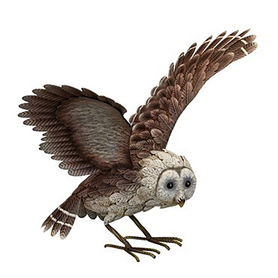 RA Barn Owl Wings Up