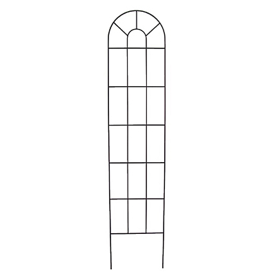 Trellis - Iron Palladian